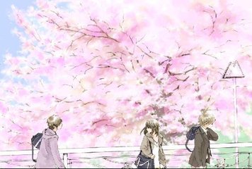 8050午夜无删减版